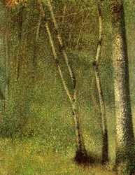 Im Wald bei Pontaubert